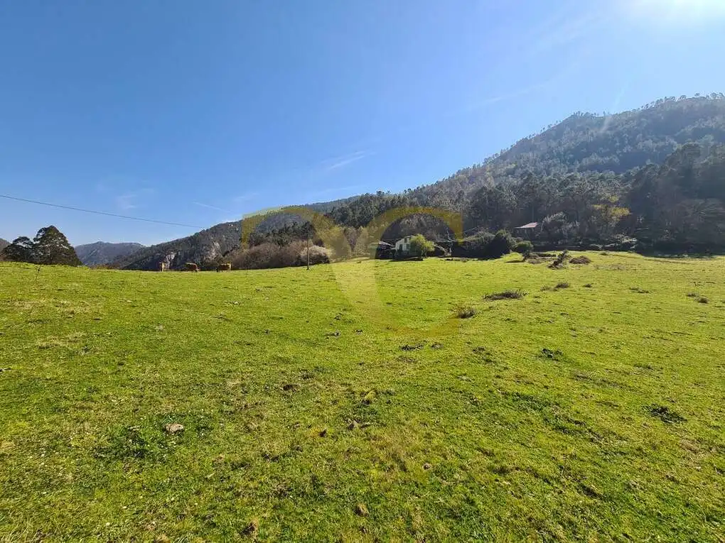 Casa o xalet en venda en Villayón amb Jardí privat