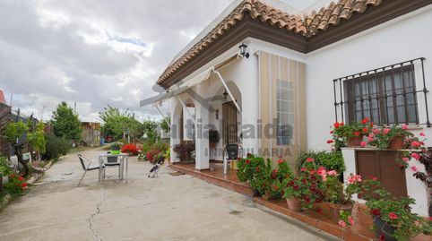 Photo 2 of Country homes for sale in Bonanza - Avda de Huelva - Barrio Andalucia, Sanlúcar de Barrameda