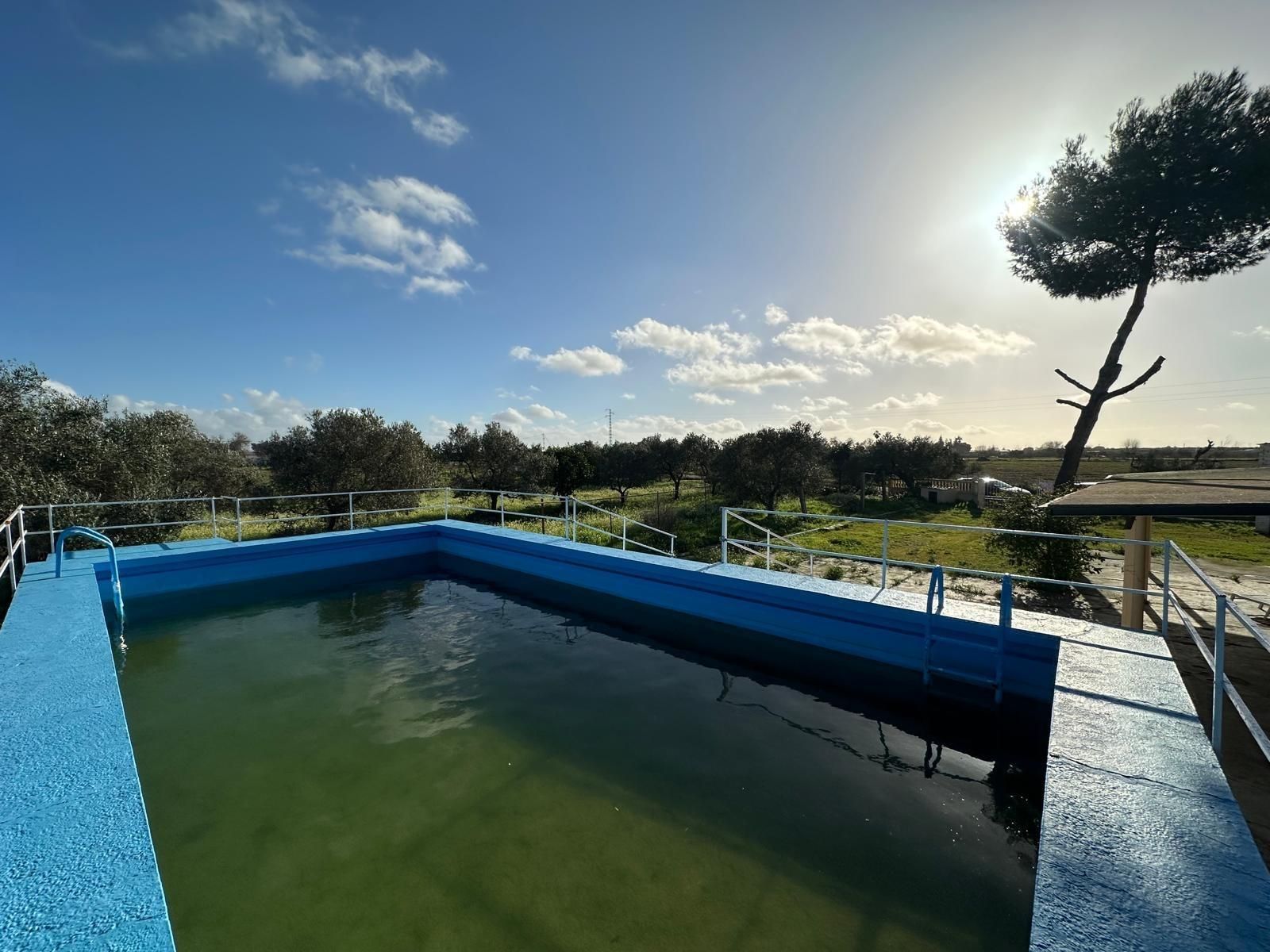 Swimming pool of House or chalet for sale in Utrera