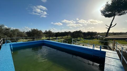 Photo 2 of House or chalet for sale in Pedanías Norte, Utrera