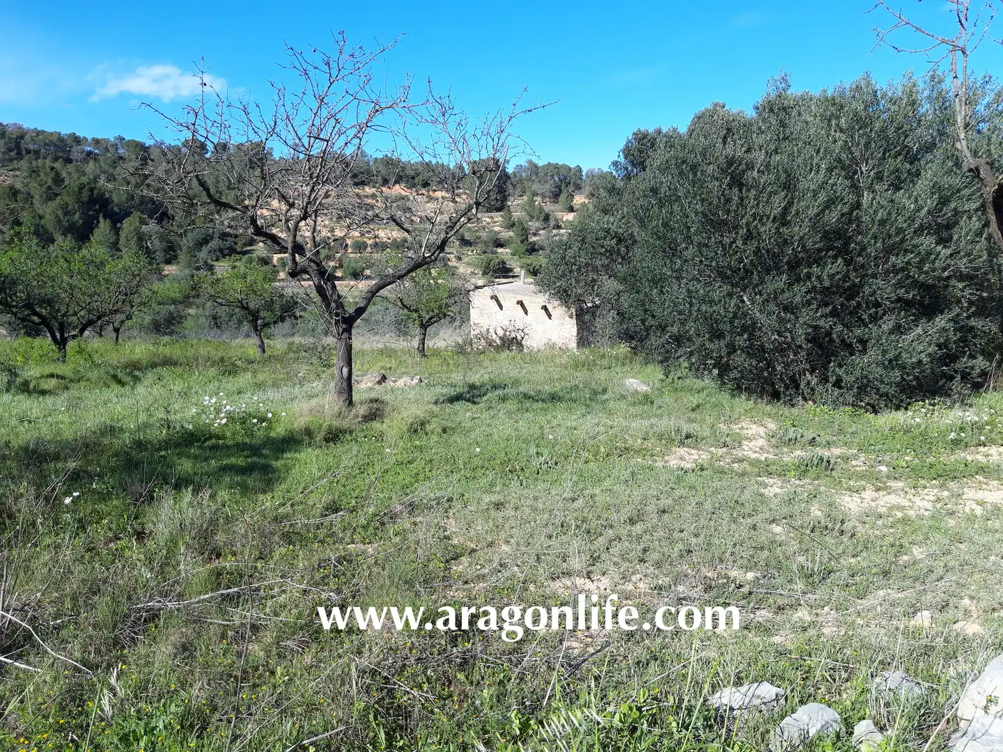 Country homes for sale in El Pinell de Brai