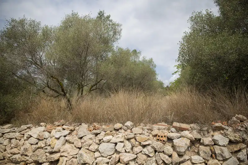 Residential zum Verkauf in Camí del Llorito, 114- Polígono 5, Urbanitzacions de Llevant
