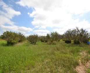 Finca rústica en venda en Sant Jaume d'Enveja