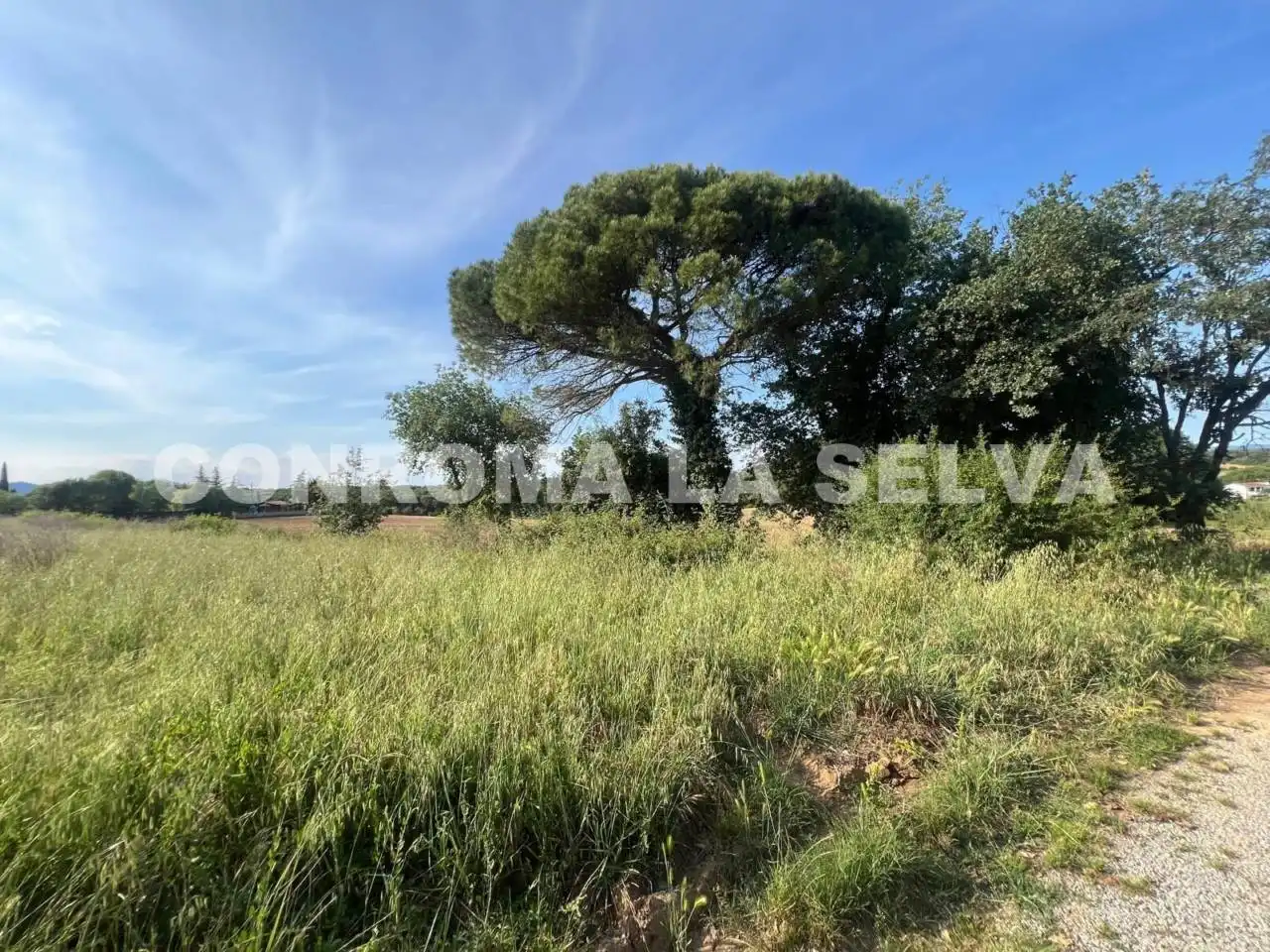 Terrain rustique à vendre à Riudarenes, imagen 15