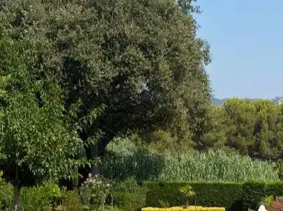 Jardí de Pis en venda en Sant Feliu de Guíxols amb Aire condicionat, Piscina i Balcó