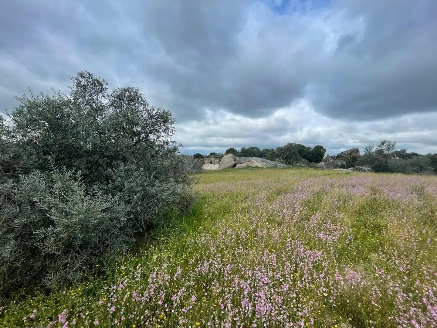 Terrenos y solares en venta en Malpartida de Cáceres, imagen 2