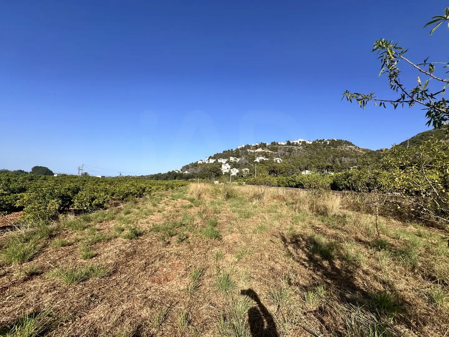 Terreno rustico in vendita a Pego, imagen 14