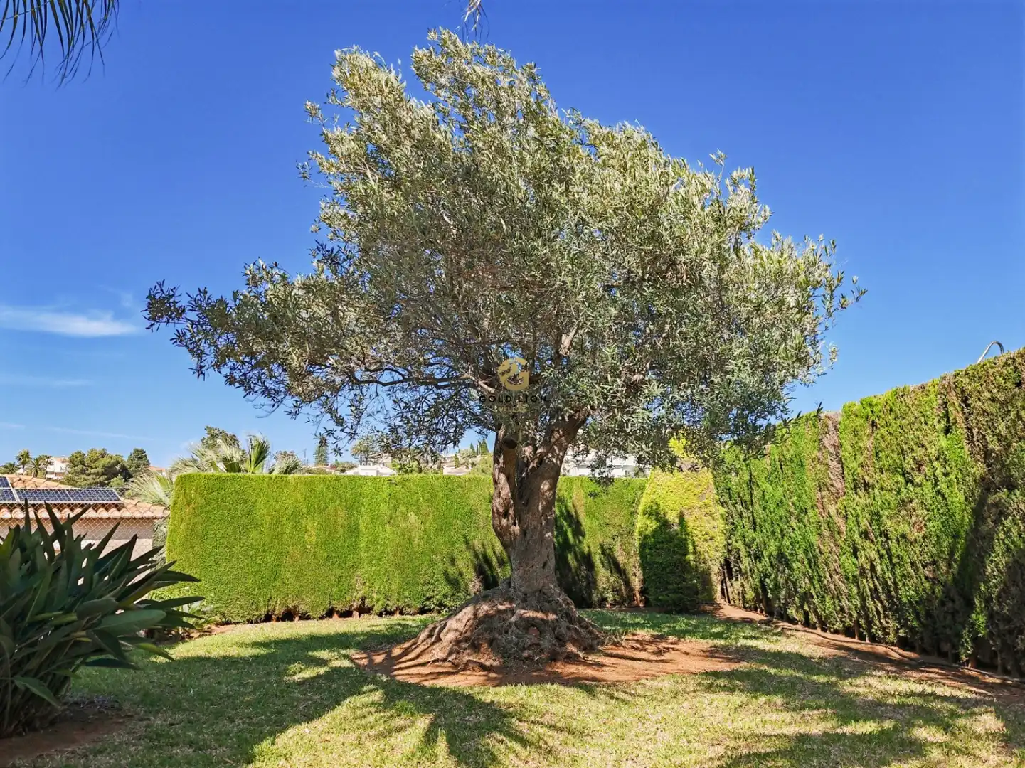 Garden of Houses for sale in Dénia  with Air Conditioner, Heating and Private garden