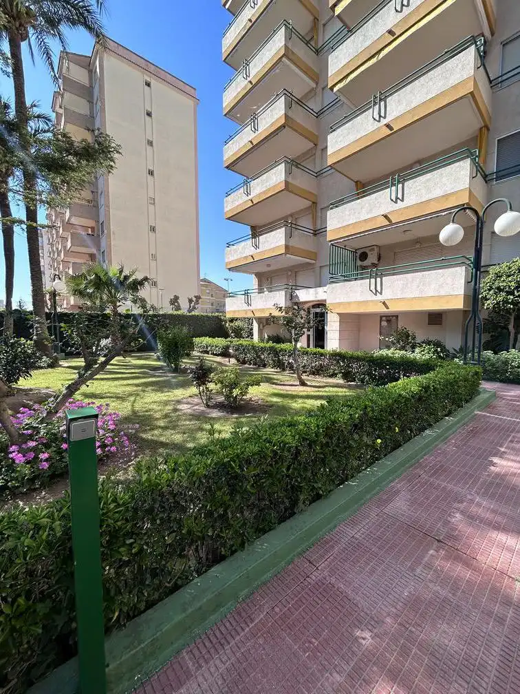 Apartament amb piscina de lloguer a Playa de Gandia, imagen 40