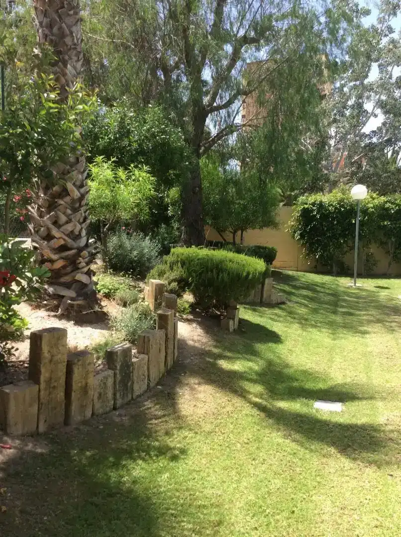 Jardí de Apartament de lloguer en Playa de San Juan - El Cabo de las Huertas
