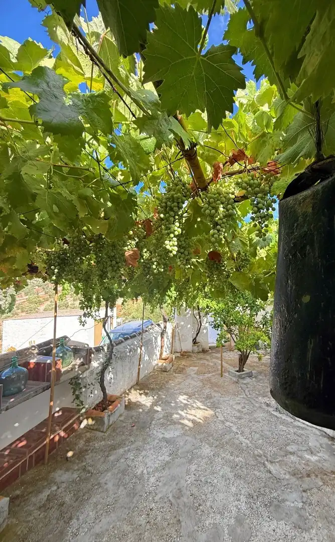 Casa rústica en venda a Villanueva de Algaidas, imagen 5