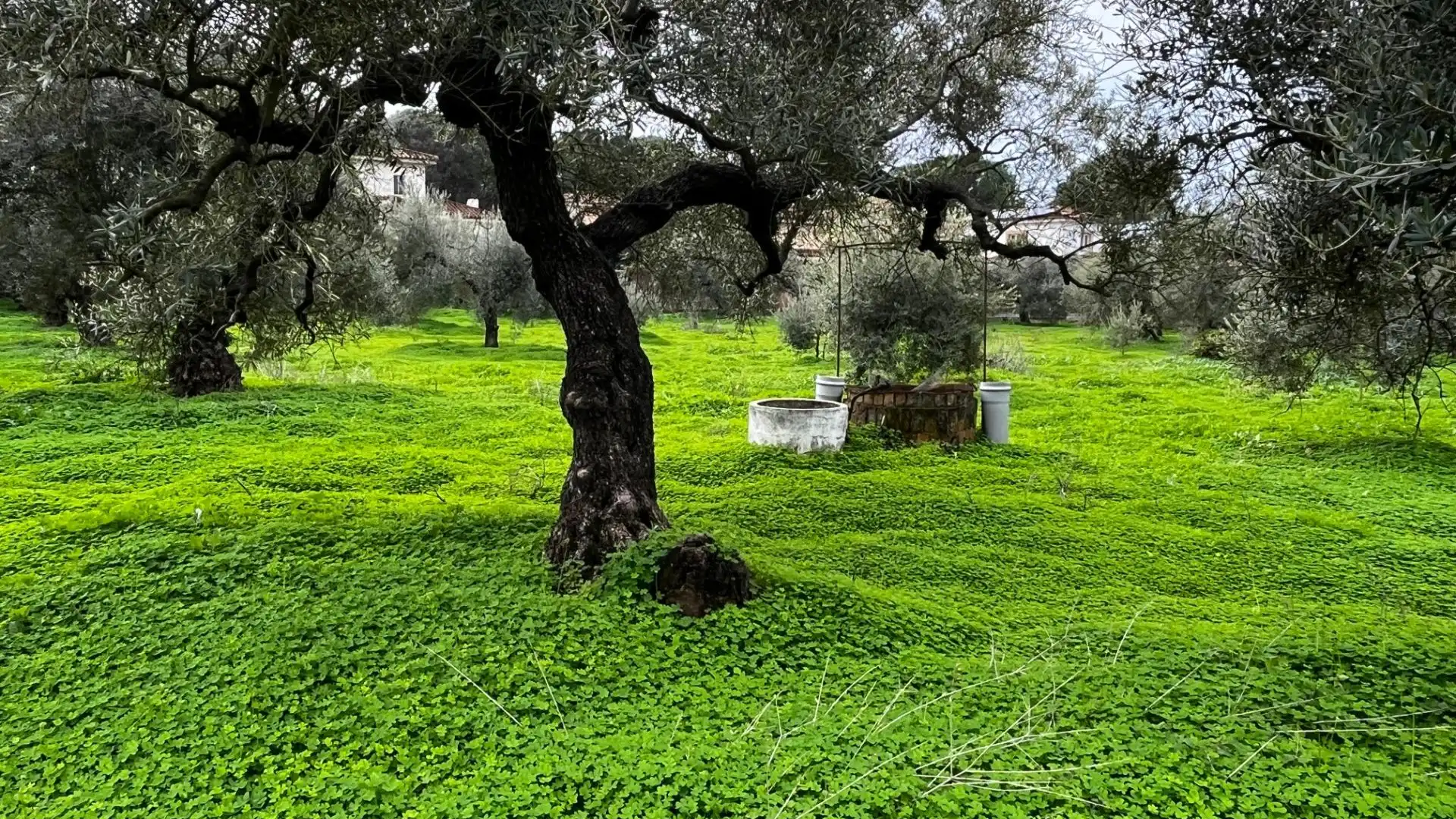 Vista exterior de Terreno en venta en Bollullos de la Mitación