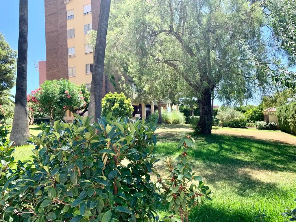 Jardí de Apartament en venda en Alicante / Alacant amb Aire condicionat, Terrassa i Moblat