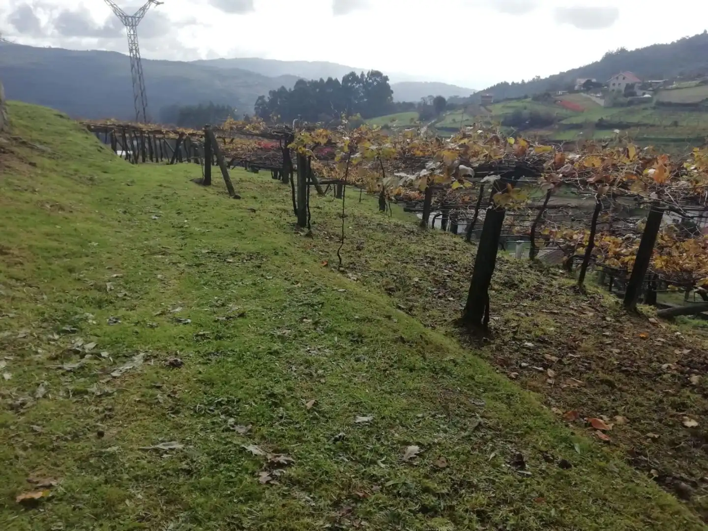 Terreno en venta en Campo Lameiro, Pontevedra