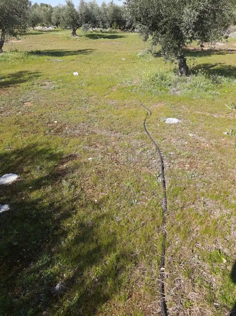Rustikales Grundstück zum Verkauf in Diseminado Poligono 10 12B, imagen 15
