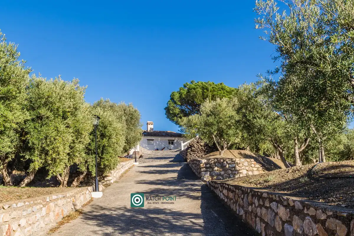 Maison à vendre à Calle Cuesta el Coronel, imagen 73