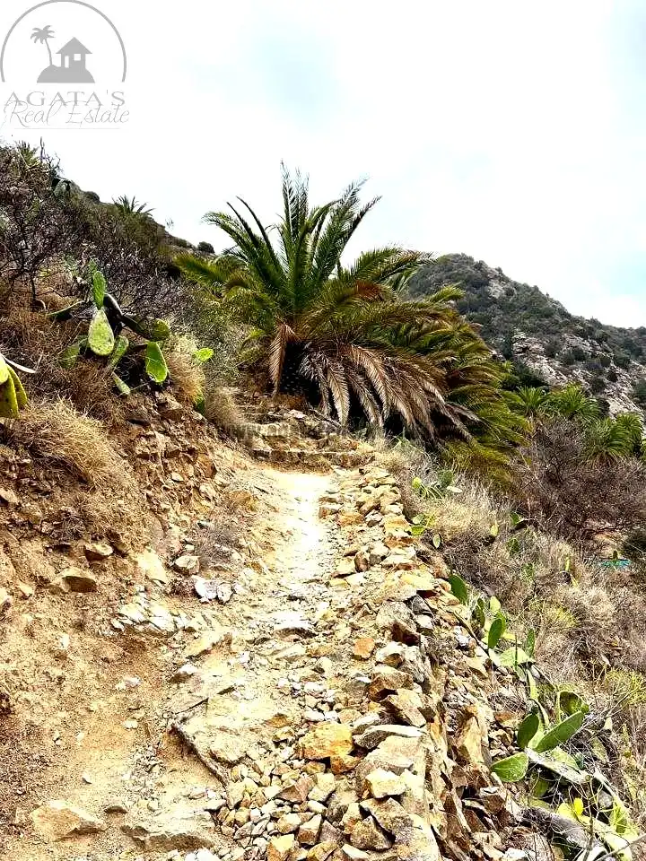 Vista exterior de Finca rústica en venta en Vallehermoso con Aire acondicionado, Calefacción y Jardín privado