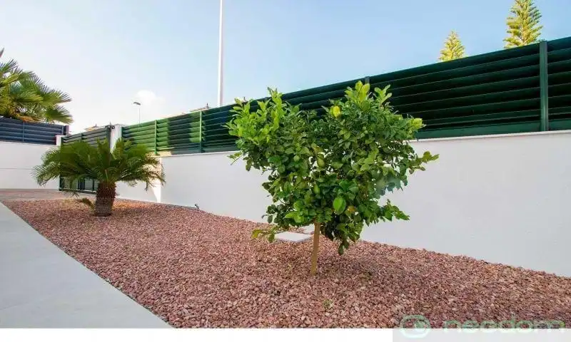 Casa in vendita a La Marina, imagen 6