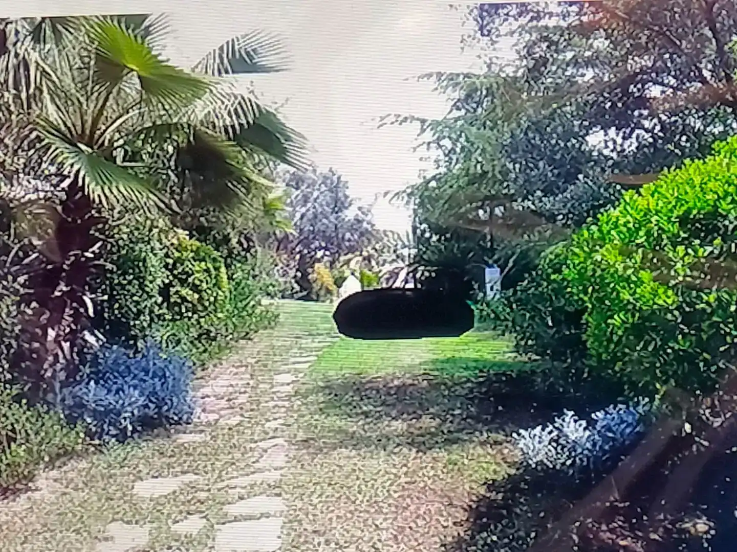 Jardí de Casa o xalet en venda en Chiva amb Aire condicionat, Piscina i Balcó