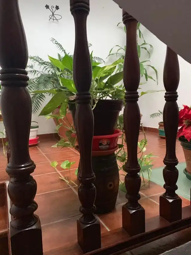 Jardí de Casa adosada en venda en Arcos de la Frontera amb Aire condicionat