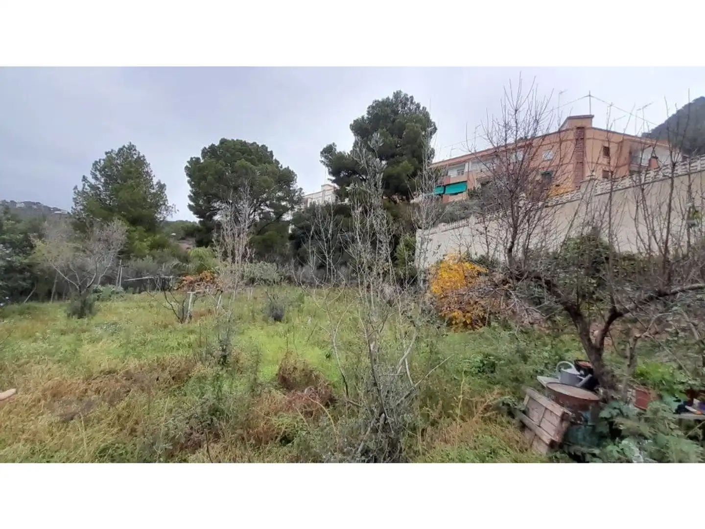 Casa amb piscina en venda a Pinar, imagen 50