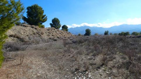 Photo 4 of House or chalet for sale in Pasaje Los Martos, 1, Los Gallardos, Almería