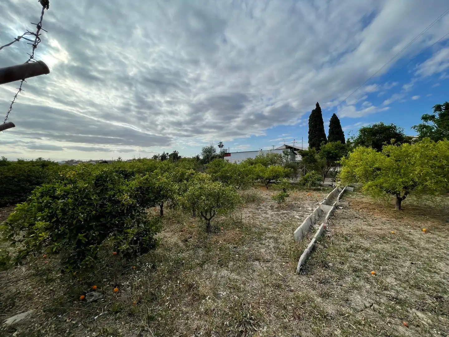Terreni e lotti in vendita a Pedanías Oeste, imagen 4