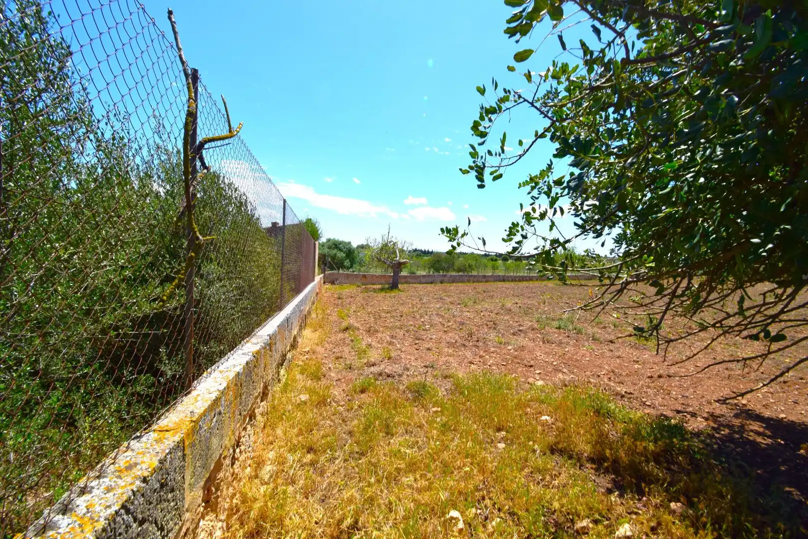 Residential land for sale in Santa Margalida Poble, imagen 14