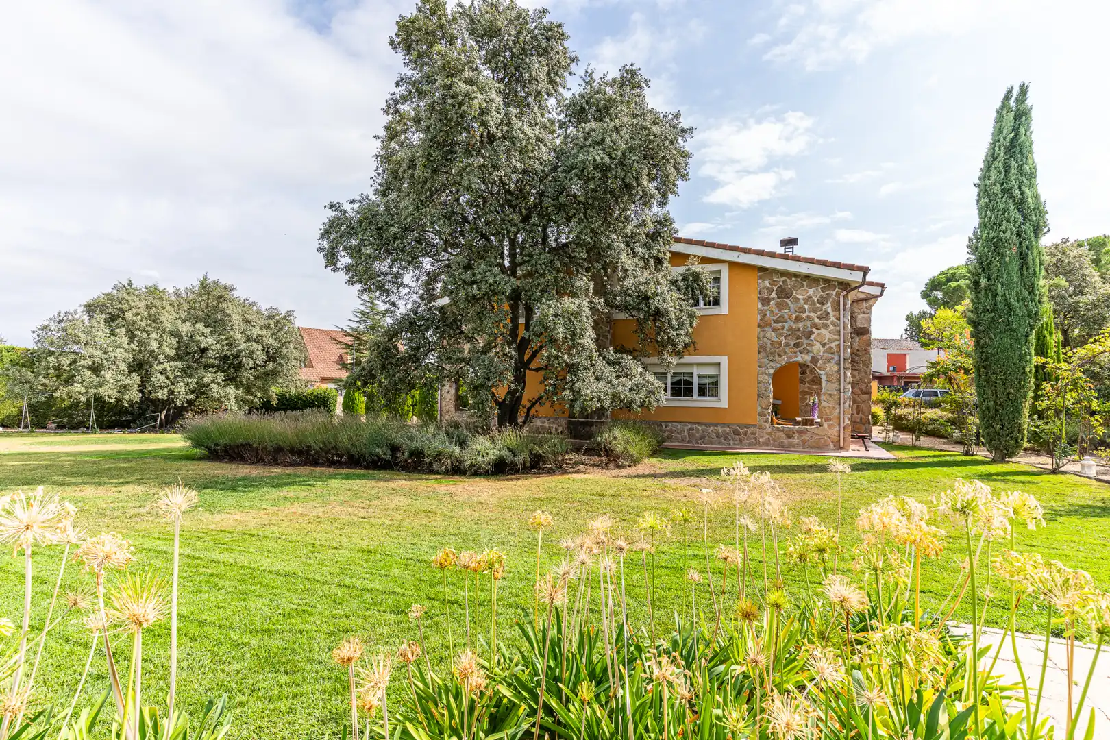 Detached house with terrace for sale in Ciudalcampo, imagen 14