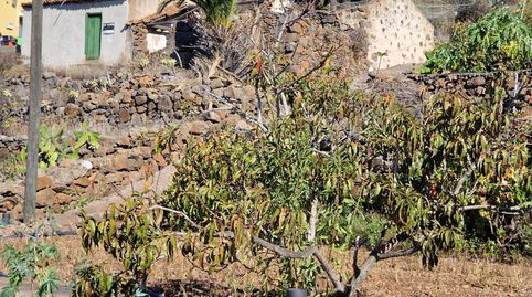 Photo 5 of Residential for sale in Calle Tejena, Alajeró, Santa Cruz de Tenerife