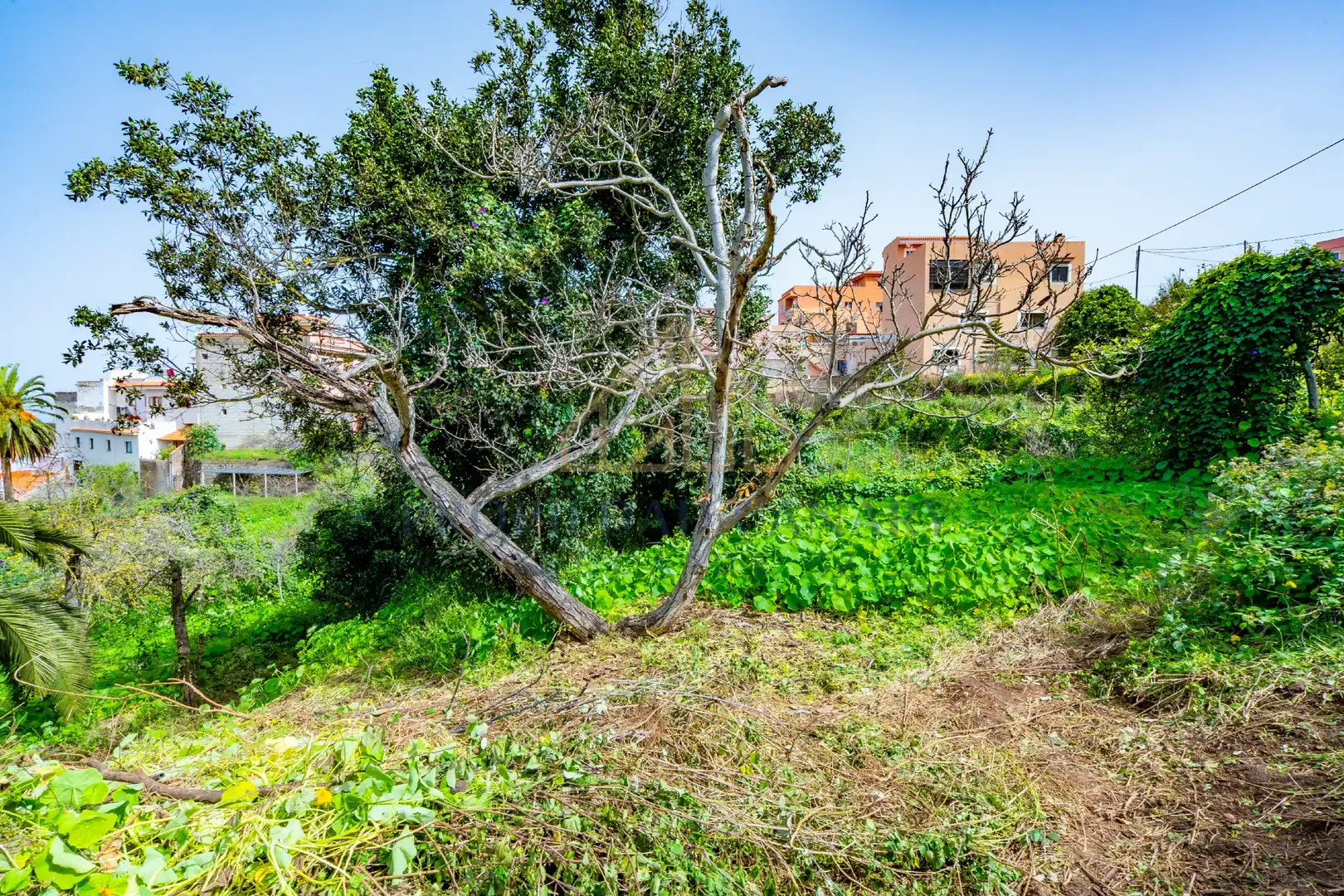 Finca rústica en venda en La Victoria de Acentejo
