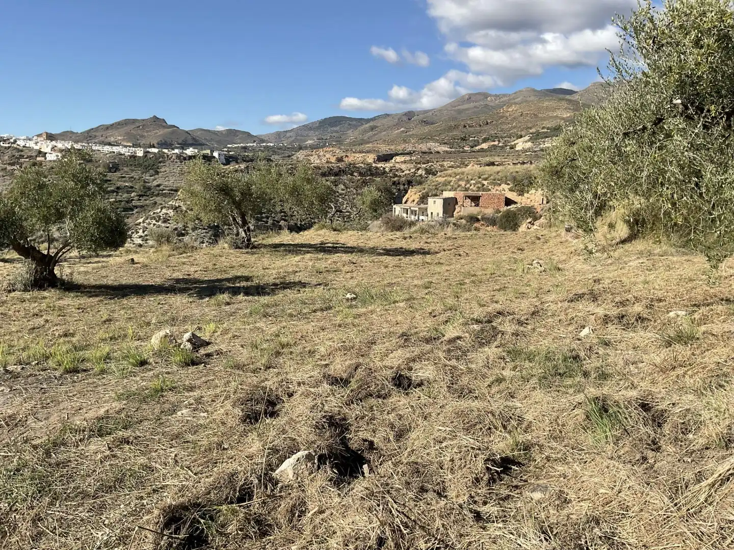 Land for sale in Padules
