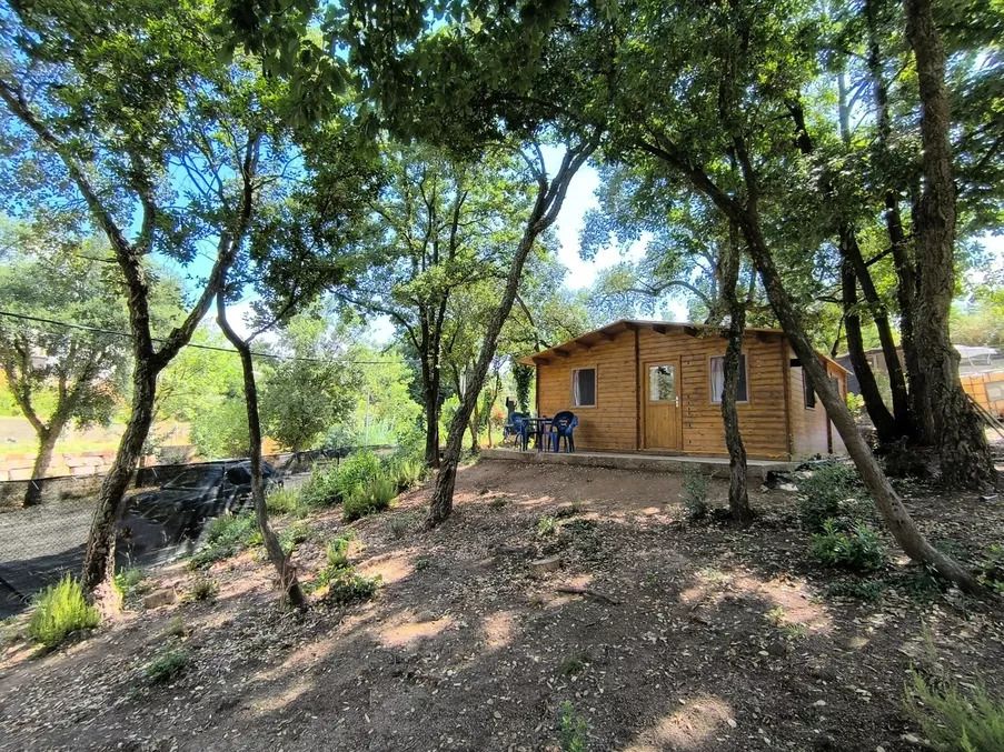 Jardí de Casa o xalet en venda en Riudarenes amb Jardí privat
