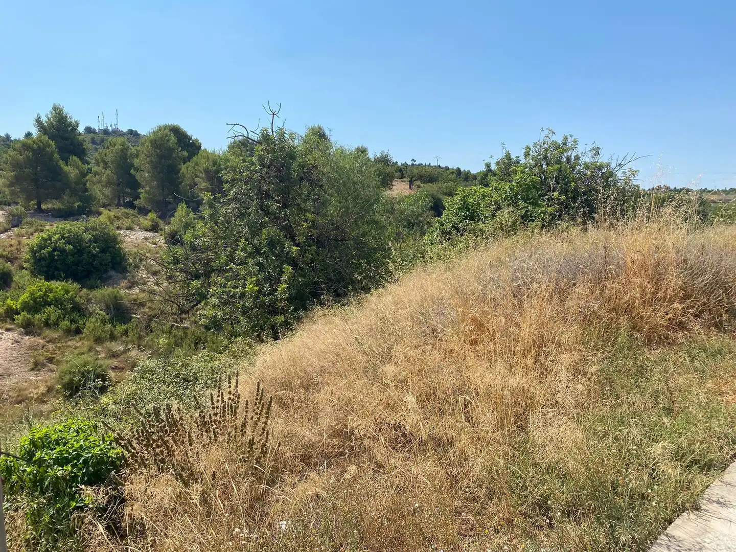 Terreno residencial en venta en Riba-roja de Túria, imagen 3