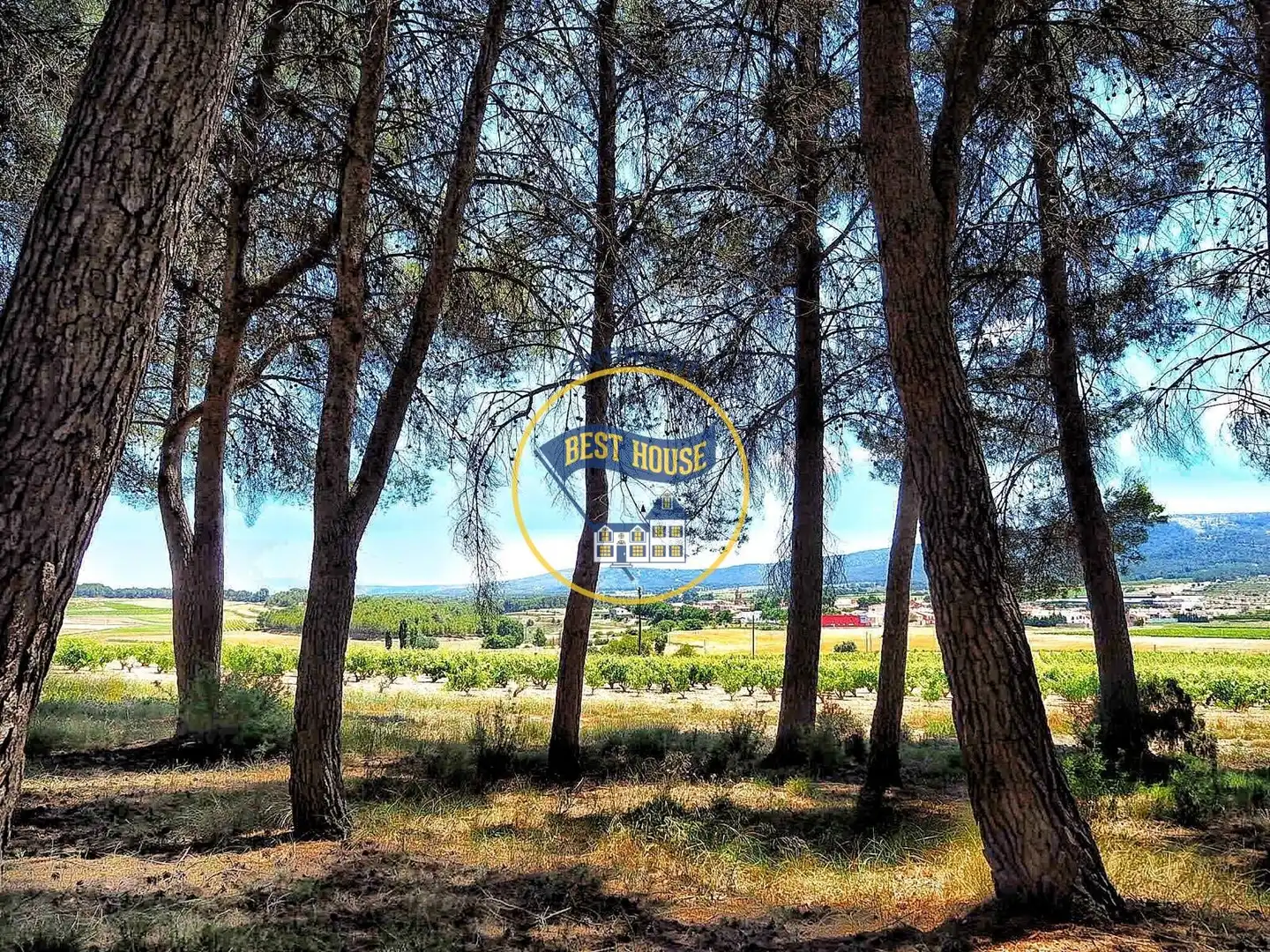 Casa o xalet en venda en Fontanars dels Alforins amb Jardí privat, Piscina i Moblat