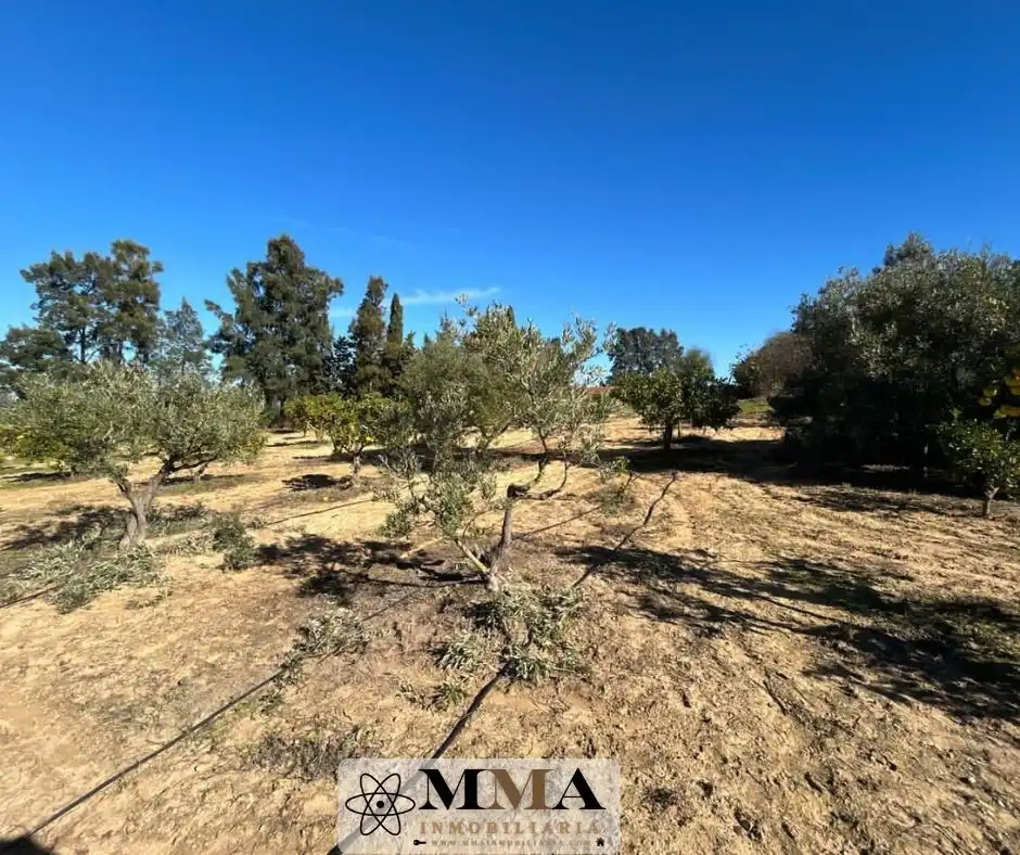 Finca rústica en venda en El Rompido amb Aire condicionat, Calefacció i Jardí privat