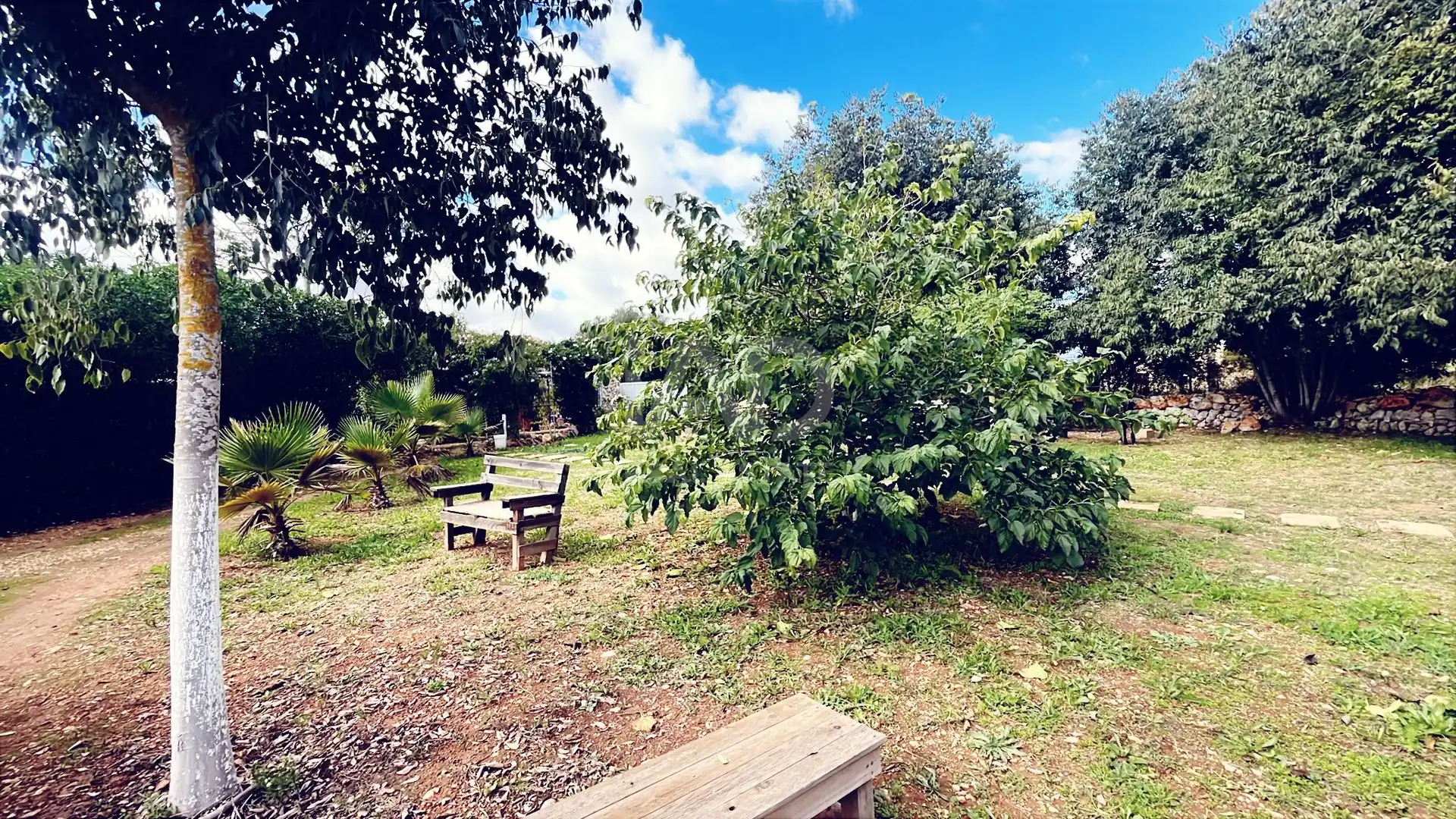 Garten von Haus oder Chalet zum Verkauf in Sencelles mit Klimaanlage, Heizung und Terrasse