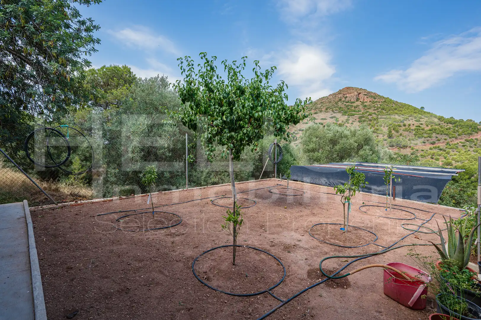 Detached homes for sale in Corral Nou - Montros - Estepar