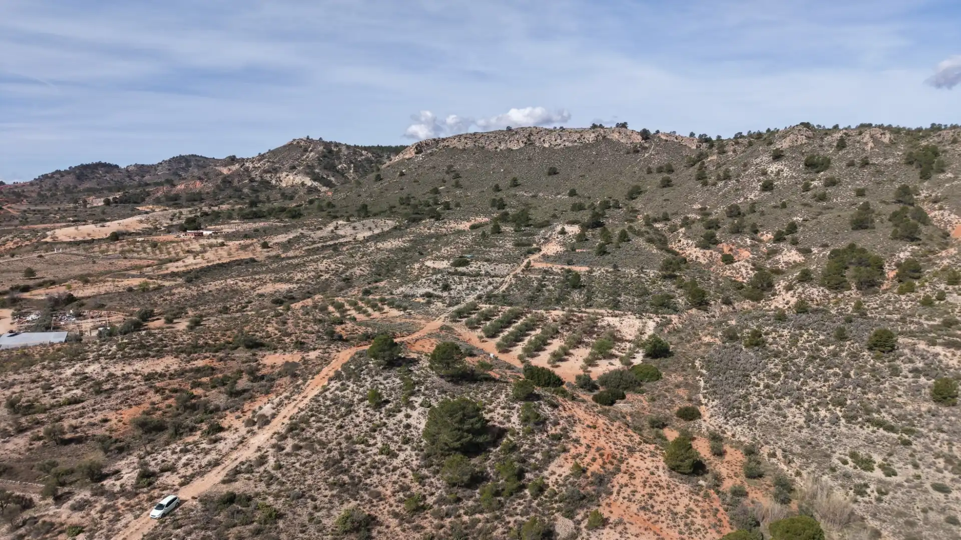 Residential land for sale in Yecla, imagen 13