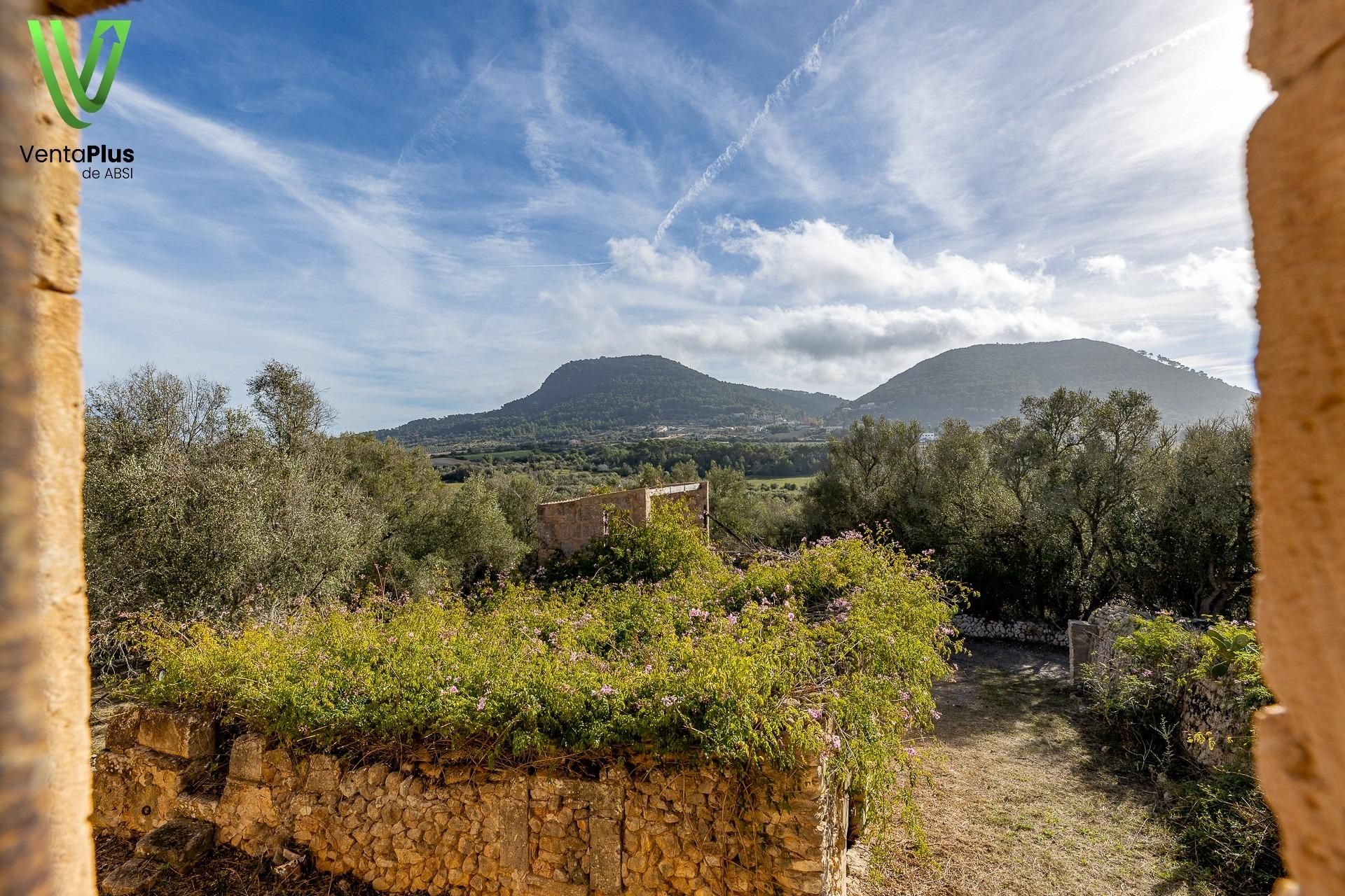 House or chalet for sale in Algaida