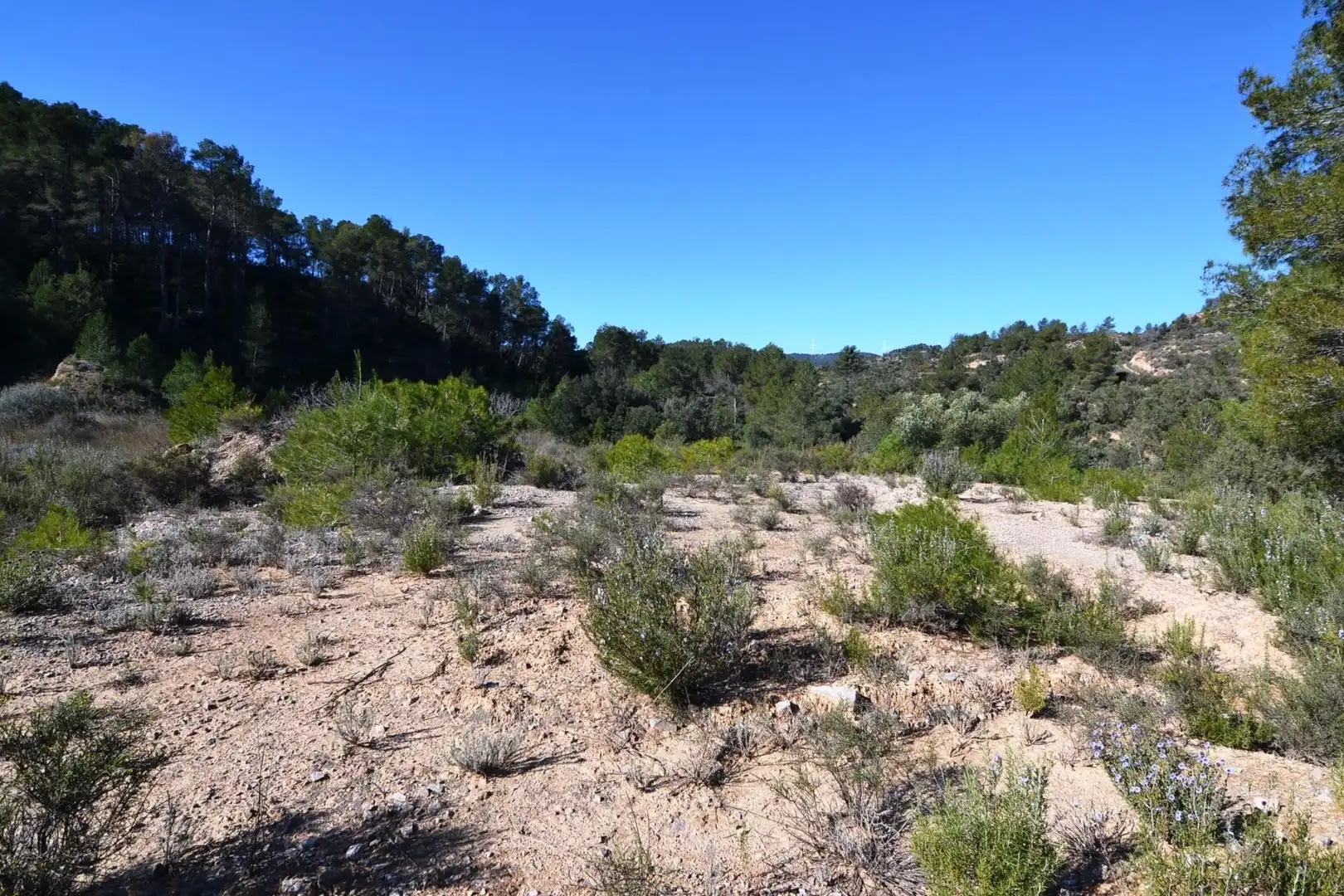 Rural land for sale in Ascó, imagen 23