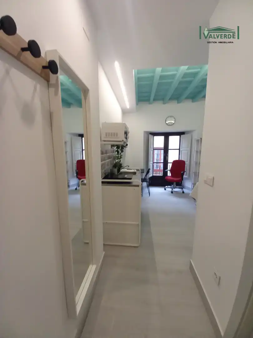 Study for rent in Calle Pavaneras, San Matías - Realejo