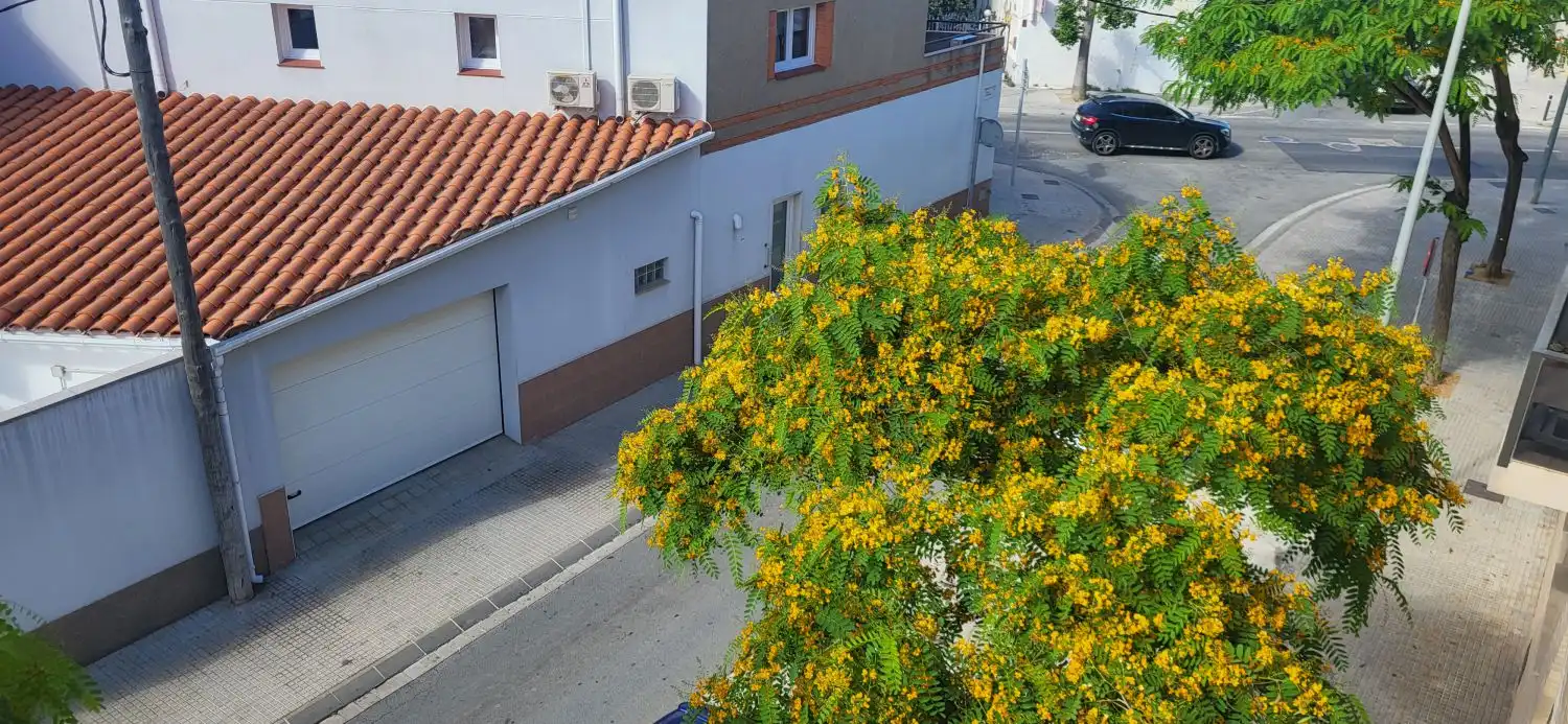 Vista exterior de Apartamento en venta en Deltebre con Balcón