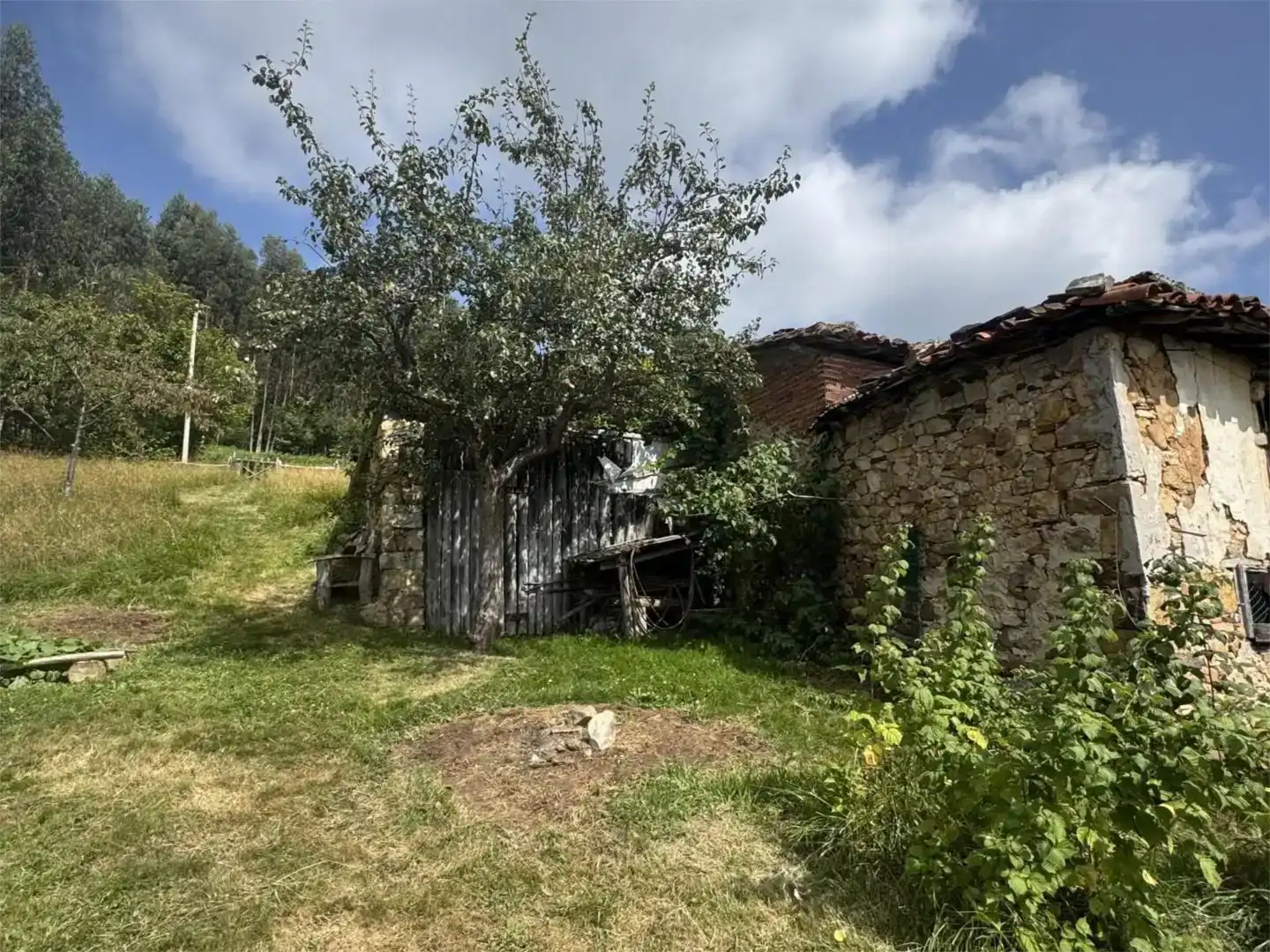 Pis en venda en Grado amb Jardí privat, Moblat i Balcó