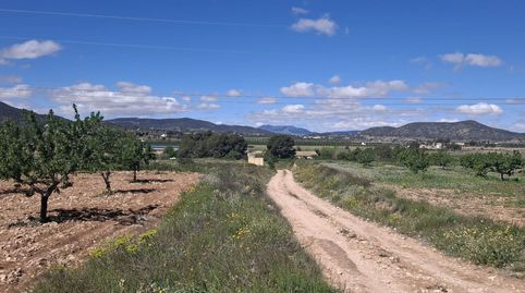 Foto 4 de Terreny en venda a Monóvar / Monòver, Alicante