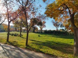 Photo 4 of Loft to rent in Calle de Fuerteventura, 7, Polígono Industrial Norte, San Sebastián de los Reyes