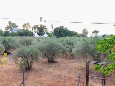 Rural land for sale in Norte