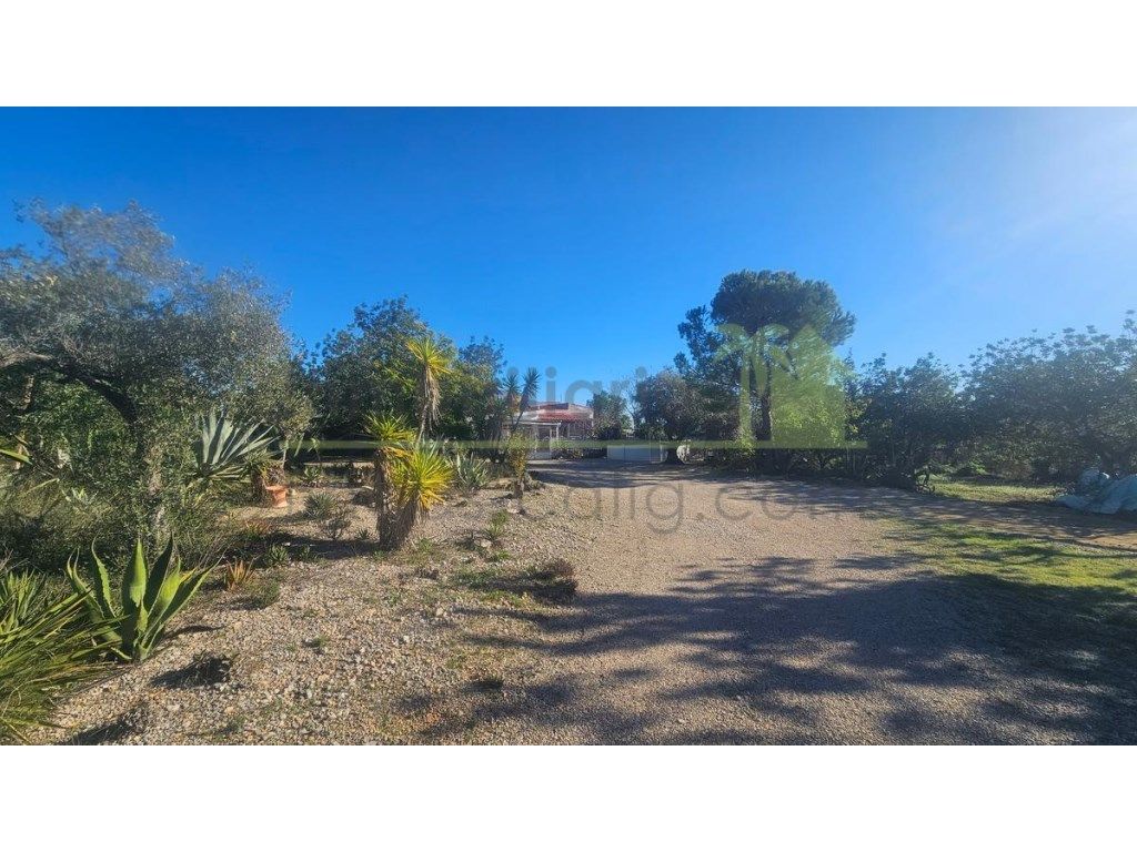 Vista exterior de Finca rústica en venta en Cervera del Maestre con Jardín privado, Terraza y Piscina