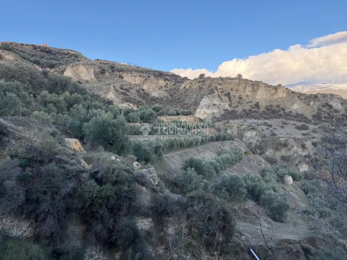 Terreno rustico in vendita a El Valle, imagen 7