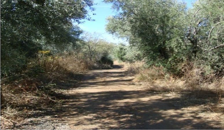 Exterior view of Residential for sale in Pinos Genil